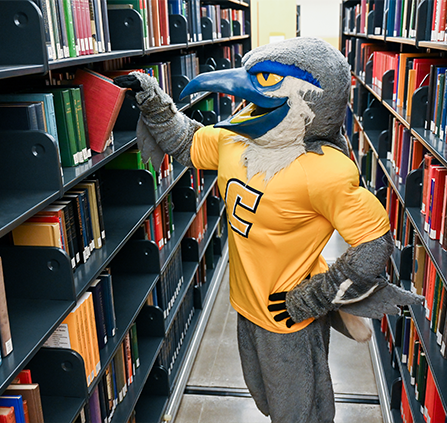 Photo of the mascot in the library. Link to Beneficiary Designations.